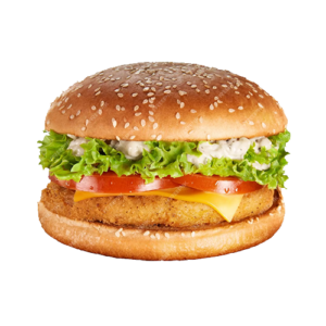 Sollow Burger